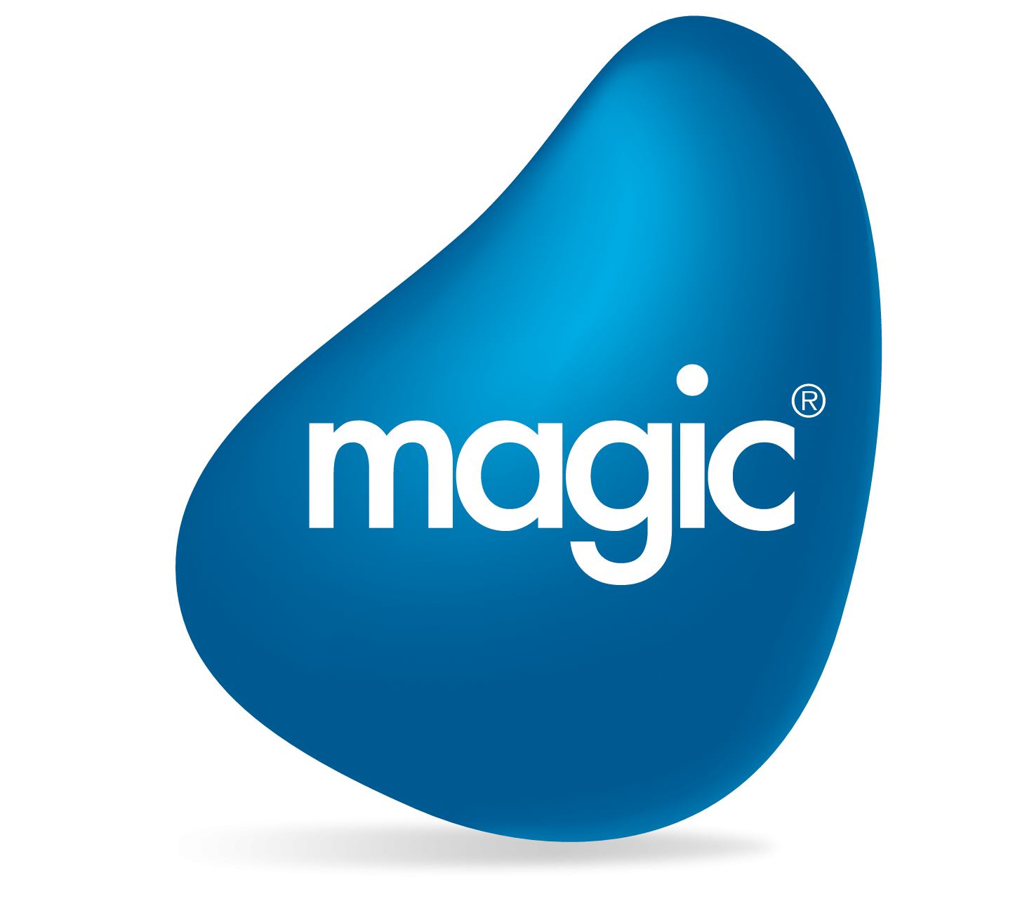 Magic Software
